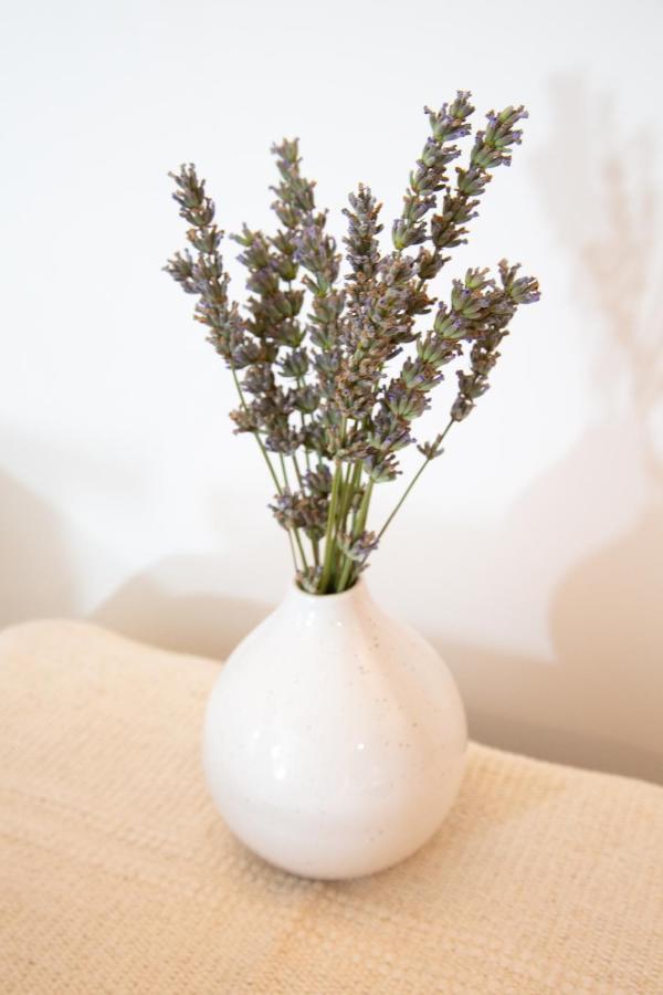 Petit Studio Secret - Coeur De Provence - 4 Personnes Volx Dış mekan fotoğraf